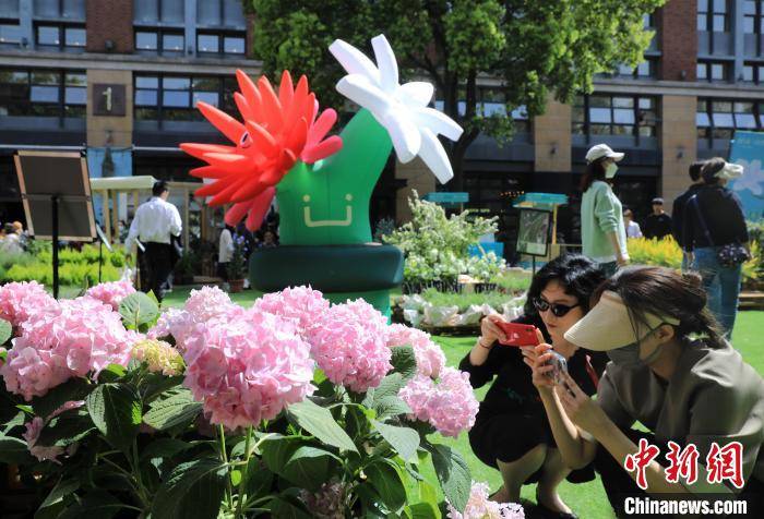上海街头“花鸟市场”吸引民众